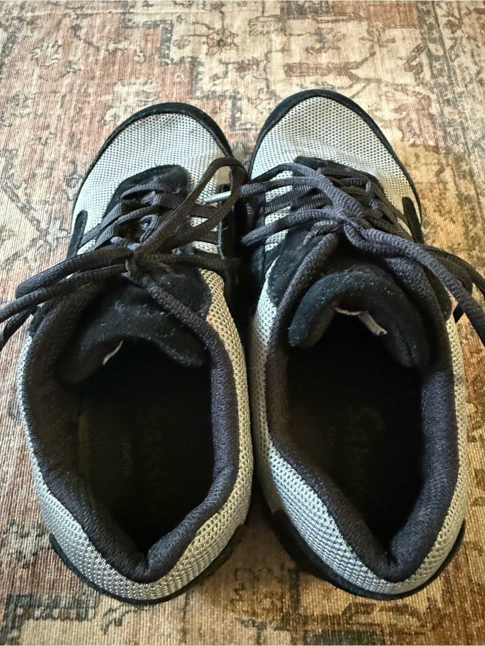 Sansha Dance Sneakers in Gray and Black
